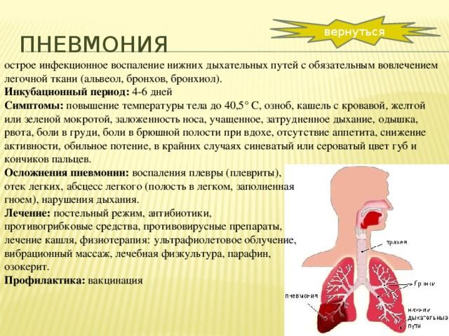 Температура после сильного кашля. Профилактика пневмонии у детей. Заболевания дыхательных путей. Острые заболевания органов дыхания.