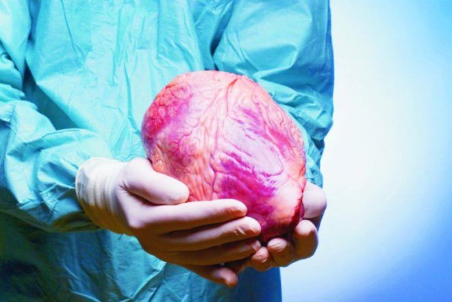 В группе риска заражения пневмоцистной пневмонии находятся люди с трансплантацией внутренних органов