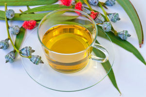 Эвкалиптовый чай для лечения кашля 