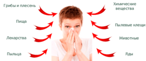 Избегать контакта с аллергенами для профилактики бронхита