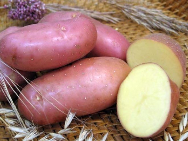 Картошка от кашля