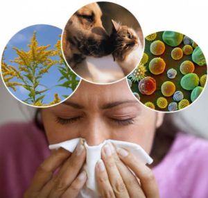 Стоит избегать контакта с аллергенами для профилактики бронхита 
