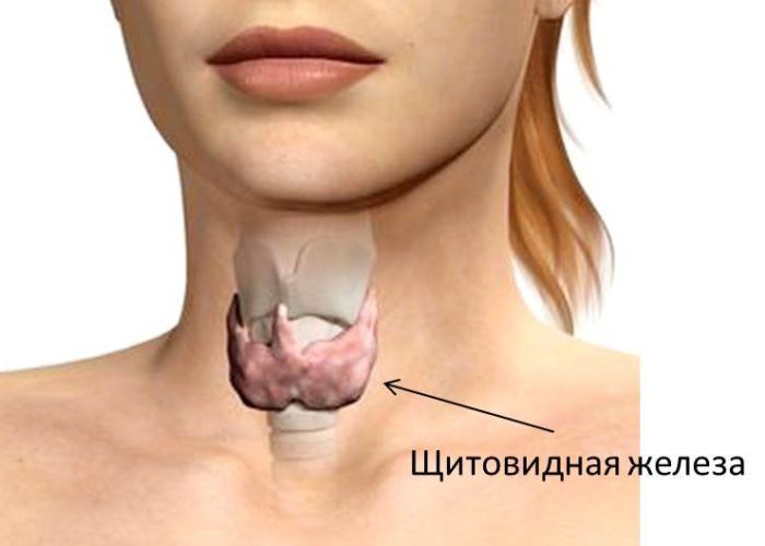Заболеваний щитовидной железы