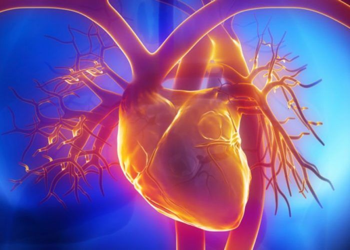 Заболевания сердечной системы и сосудов