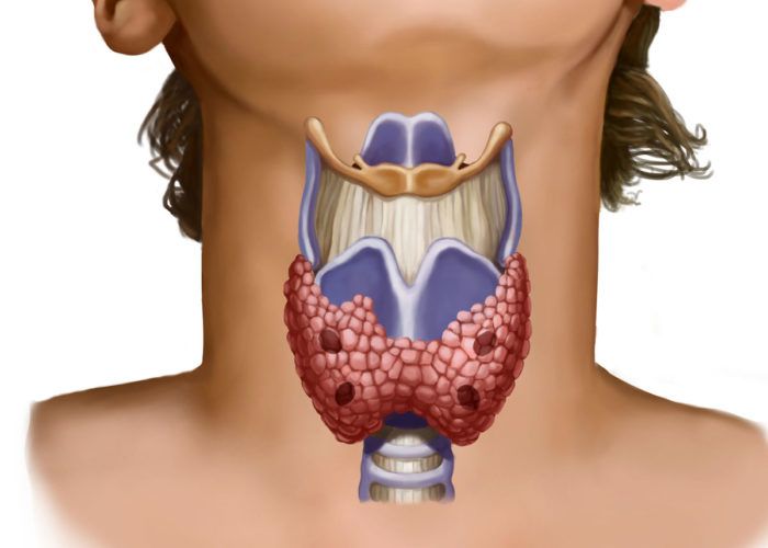 Щитовидка