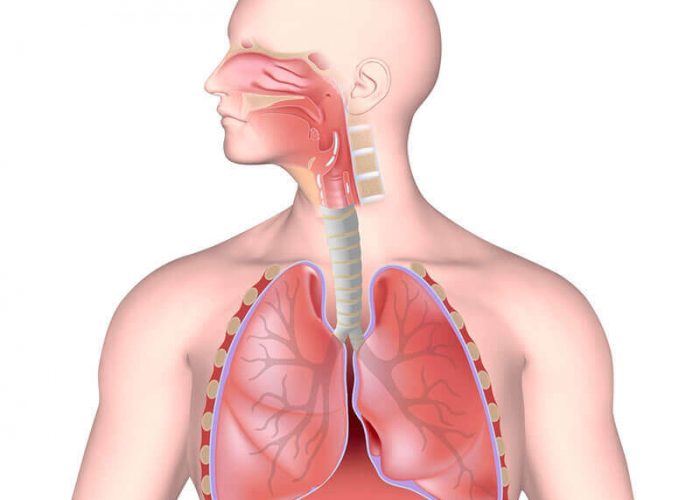 Инфекционные заболевания верхних дыхательных путей