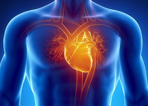 Пациенты, страдающие болезнями сердечно-сосудистой системы