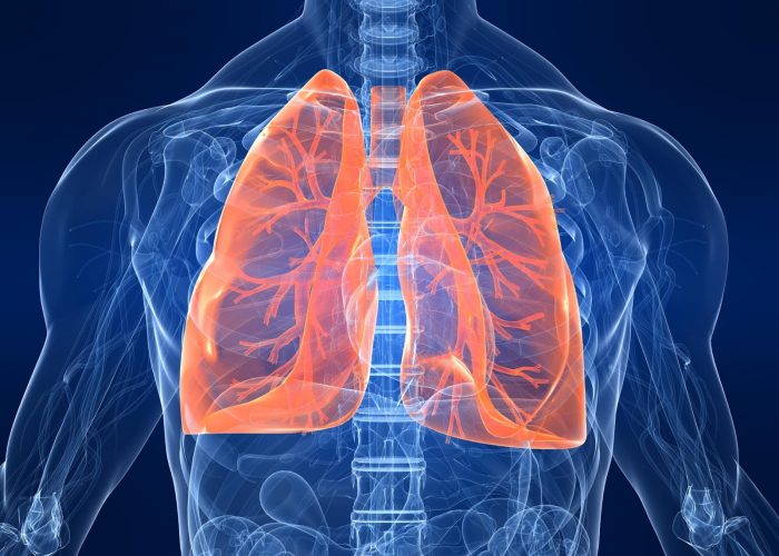 Заболевания дыхательных органов